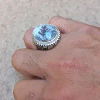 شجر پایه زنجان بی نظیر