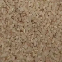 برنج طارم