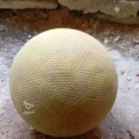 توپ های تنوع دار