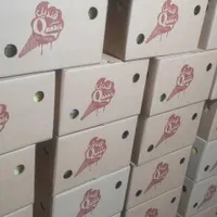 شریک شراکت سرمایه گذار پیشنهاد برای تولیدی بستنی