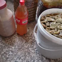 خانه و اشپز خانه