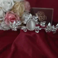 یک مدل مونده
