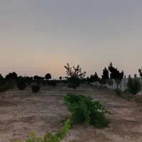 با-غچه-500-متری-با-سند-500-میلیون-تومان