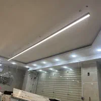 تمیز کار ماهی