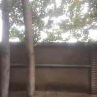 نظافت منزل ساختمان