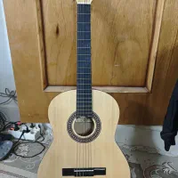 گیتار  یونیک c60