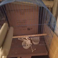 تخت|تخت و سرویس خواب|تهران, خزانه|دیوار