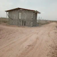 زمین باغی ۲۵۰و۵۰۰و۱۰۰۰ متری روستای محمدیه|فروش زمین و ملک کلنگی|اراک, |دیوار