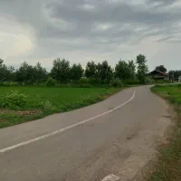 فروش شالیزار1800متری