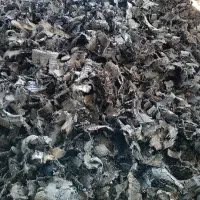 چیپس لاستیک سواری و نیسان (با سیم)