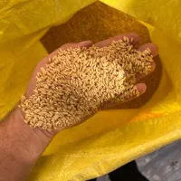 پخش خوراک دام و طیوربه صورت عمده|حیوانات مزرعه|خرمآباد (تنکابن), |دیوار