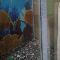 اکواریوم پمپ هوا تسفیه اب