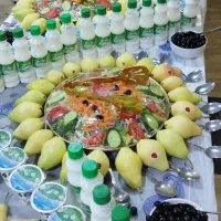 کاروان زیارتی کربلا|تور و چارتر|مشهد, امام رضا (ع)|دیوار