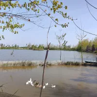 زمین-خوش-قواره-عالی-مناسب-ویلاسازی-وسرمایه-گذاری