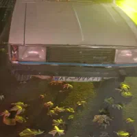 پیکان وانت مدل ۹۱