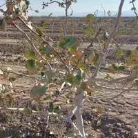 مشاوره کشت و کار ارگانیک