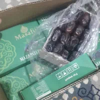 خرمامضافتی ریگان