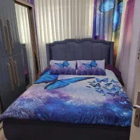 پرده پانچ با طرح پروانه