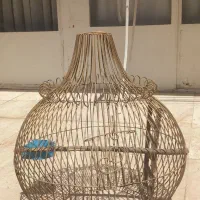 قفس کاسگو