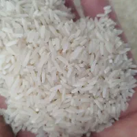 هاشمی درجه 2 سورت شده