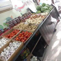 پالت میوه