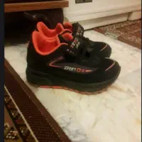 عروسک و|اسباب‌‌بازی|اردبیل, |دیوار