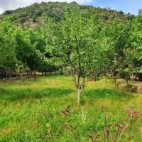 فروش-زمین-باغی-دهنه-محمد-آباد