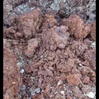 فروشی|گل و گیاه طبیعی|نوشین شهر, |دیوار