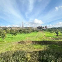 زمین ۴۳۰متر در شیرگاه