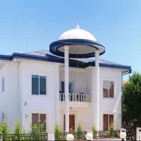 دوبلکس جنگلی ، ویودار