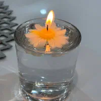 بابونه رو ابی