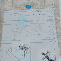 زمینهای 250متری سند سیم سرب