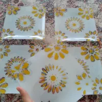میوه خوری