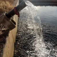 ۲هکتارباغ پسته اکبری