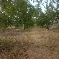 باغچه 400متری کرمجگان|فروش زمین و ملک کلنگی|قم, زنبیل آباد|دیوار