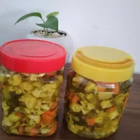 سالاد فصل و ترشی خانگی|خوردنی و آشامیدنی|پاکدشت, شهرک امام رضا|دیوار