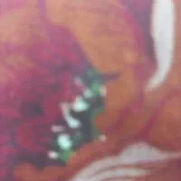 0912851