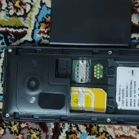 نوکیا 216|موبایل|قم, نخودی|دیوار