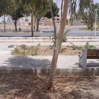 منزل مسکونی ومغازه تجاری . پردیس|فروش خانه و ویلا|شاهین‌شهر, شهرک پردیس|دیوار