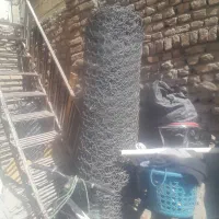 فنس سالم هنوز باز نشده