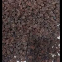 کشمش پلویی درجه یک لیلان