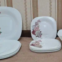 ظروف آرکوپال وچینی