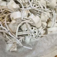 سوکت هالوژن سوزنی