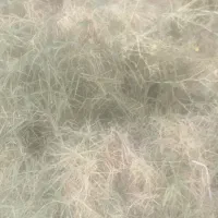 زمین کشاورزی