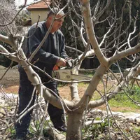 خدمات باغبانی و درختکاری