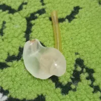 سمعک|آرایشی، بهداشتی، درمانی|الوند, |دیوار