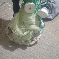 تور ماهیگیری