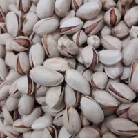 پسته ایلخچی امسال