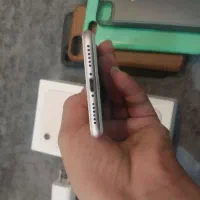 ایفون 7 نو|موبایل|یزد, |دیوار