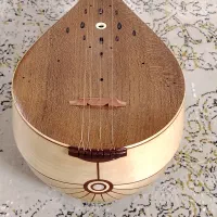 سه تار محمدی الگوی کمالیان|سازهای سنتی|شیراز, شهرک سراج|دیوار